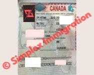 Client Visa Success Story 4