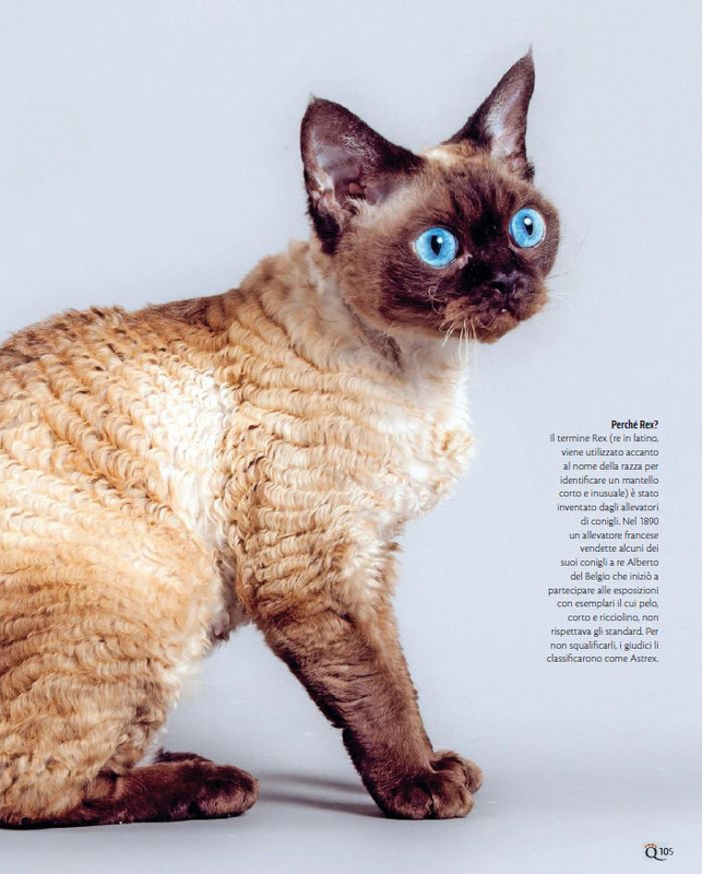 QuattroZampe Lug 2023 (12)