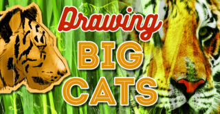 Drawing Big Cats - Everything You Need to Draw Lions and Tigers.oh my! Drawing Big Cats - Everything You Need to Draw Lions and Tigers.oh my!