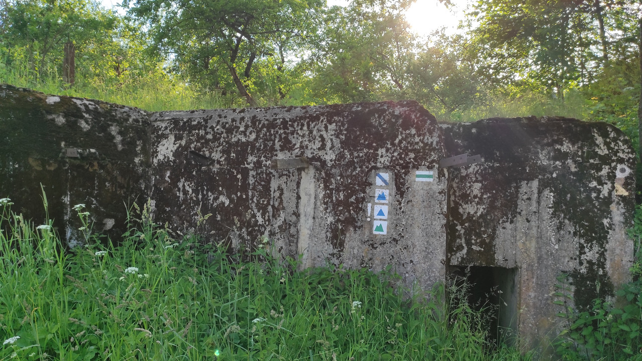 09.12 - IMG_20220616_180422 (Czesio1)