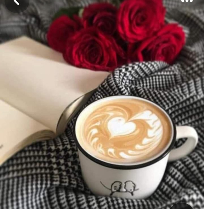 Screenshot_20240209_205410_Pinterest