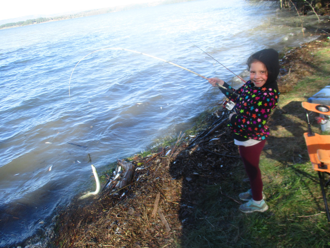 alayna fishing at stankys 006