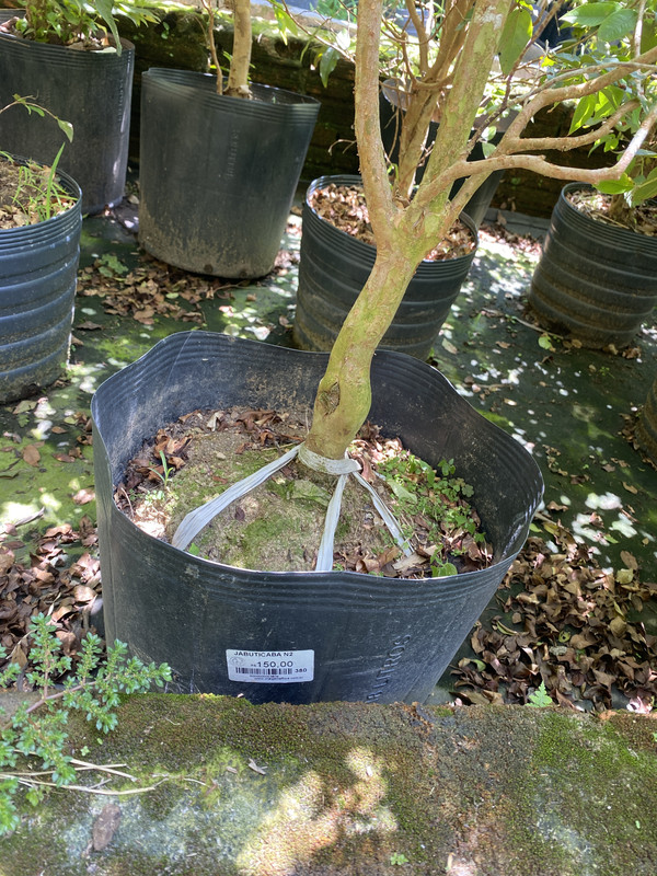 4FEAA8E6-55D8-4E24-9723-E5DB0397F6BC