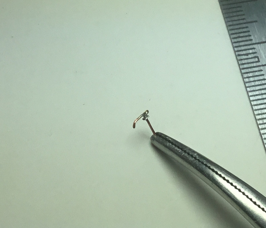 493F09F7-E842-4FCE-85EC-87A4242B1F01