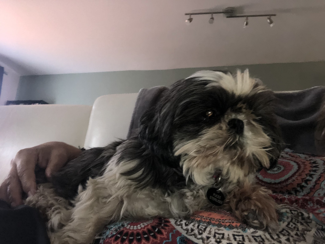 [Image: 2262-F7-BA-C7-CC-443-D-80-C5-0738-AD7-AE1-D7.jpg]