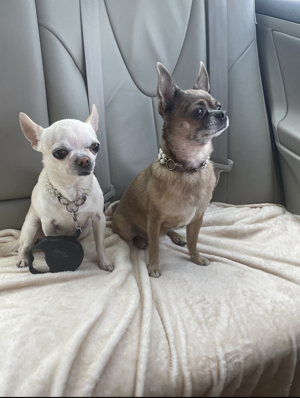 3680C524-BB13-45A8-B972-71B2187901AC