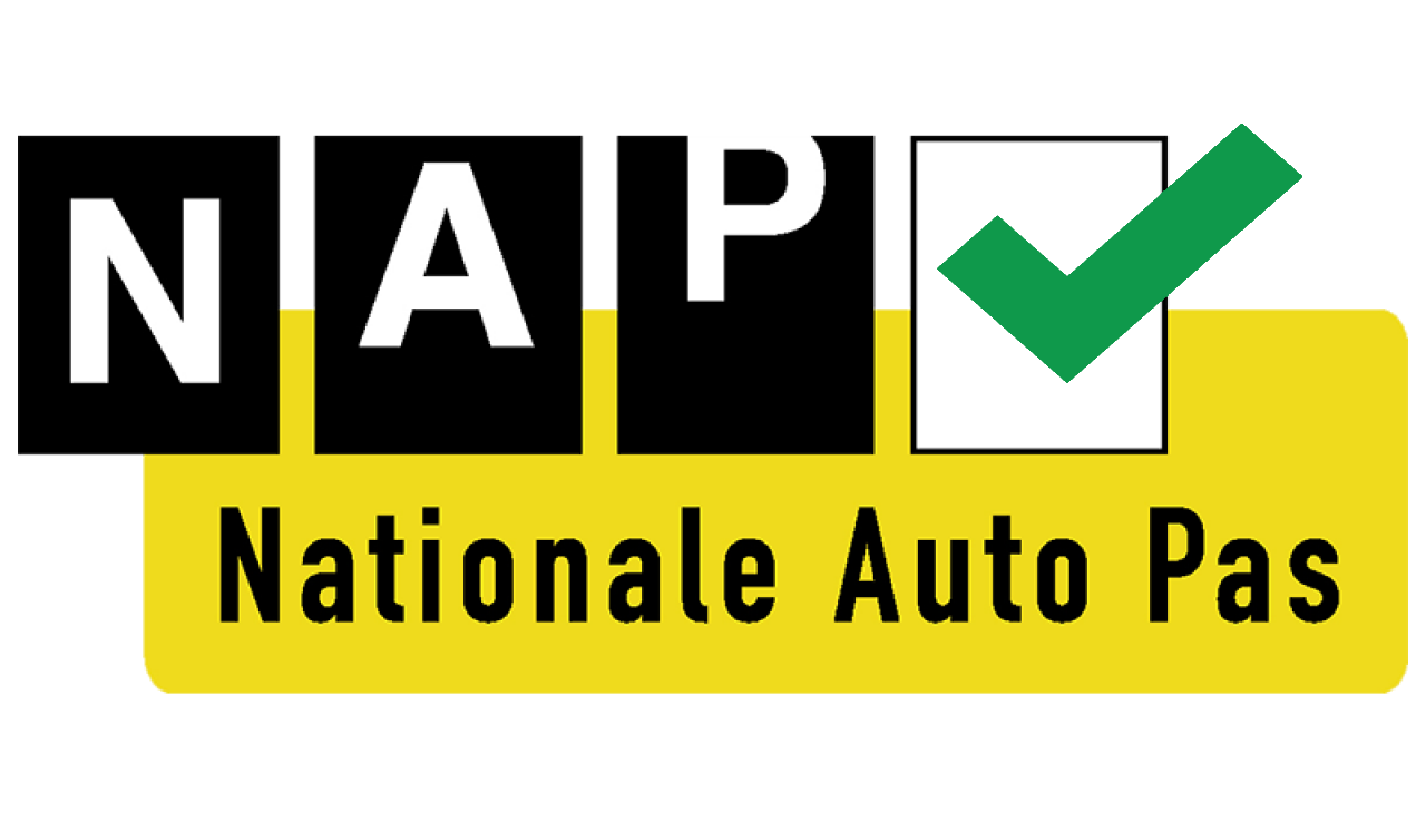 NAP Logo