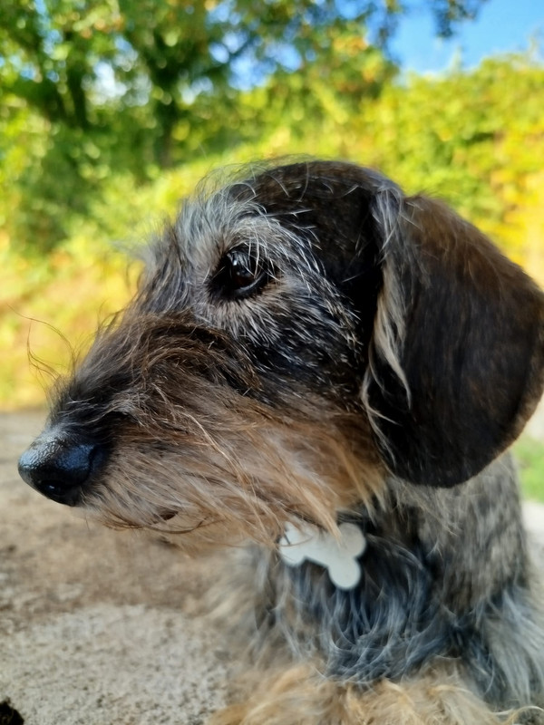 [Image: IMG-20250823-WA0000.jpg]