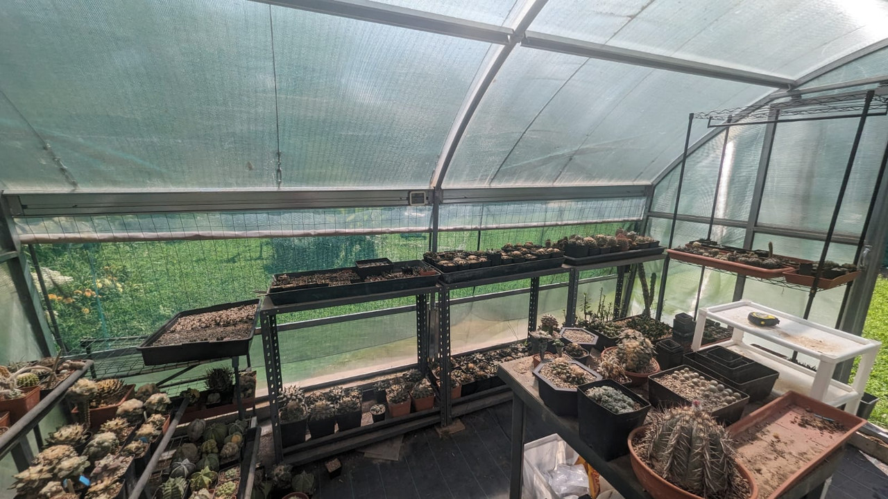 WhatsApp Image 2023-07-22 at 11.04.49 AM (1)