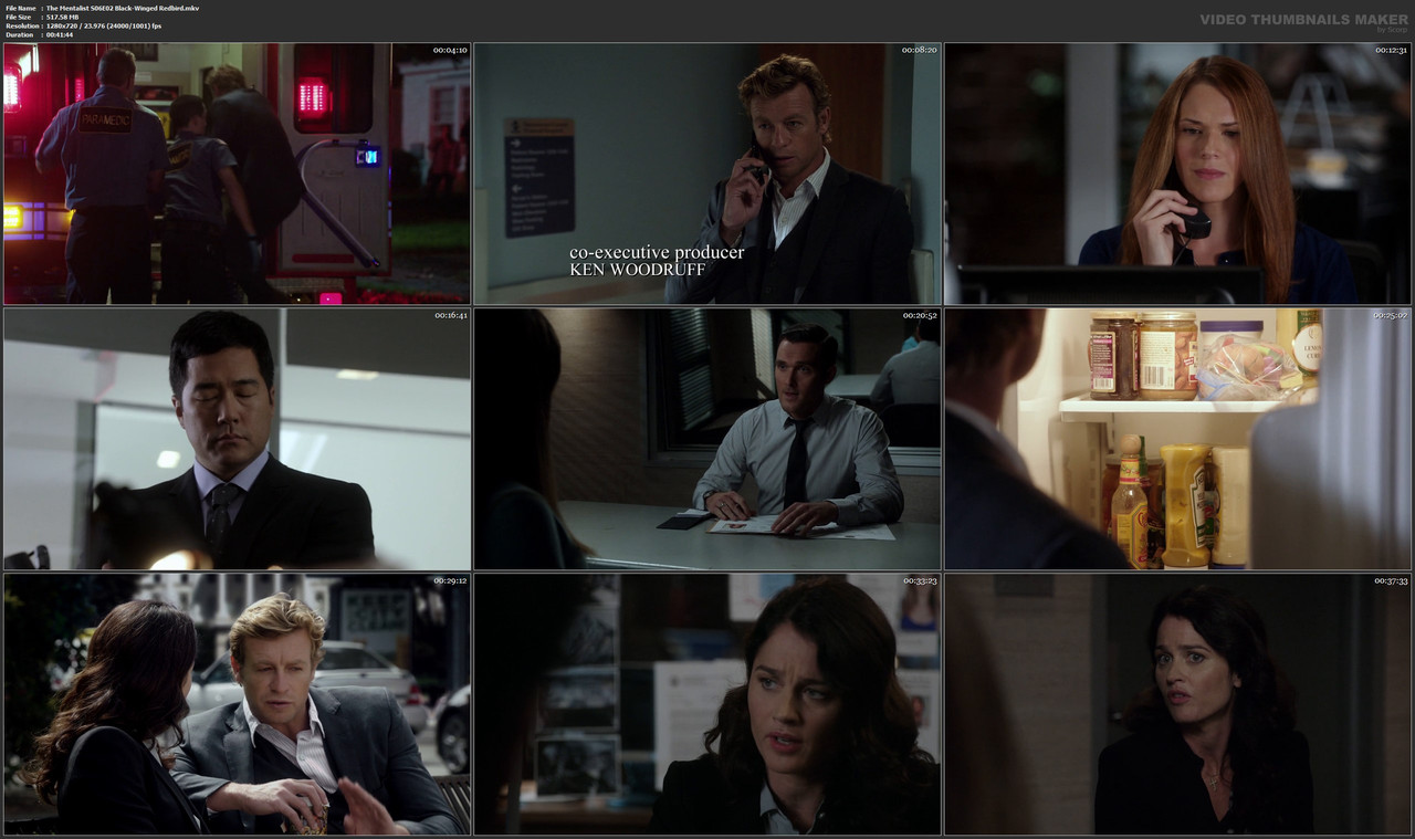 The Mentalist S06E02 Black-Winged Redbird.mkv