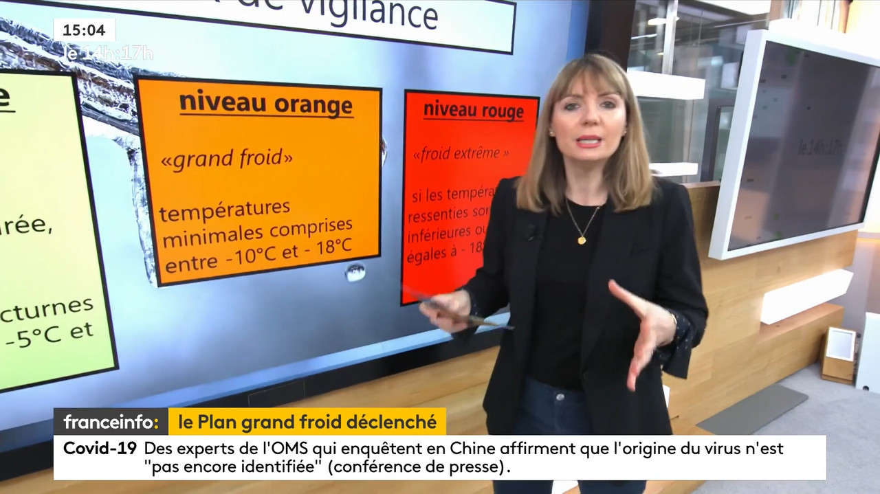 02.09 - 12.59.00 - Le 14H-17H. Au Sommaire   Vrai Ou Fake. - Francein...-1.m4v_snapshot_55.29.909