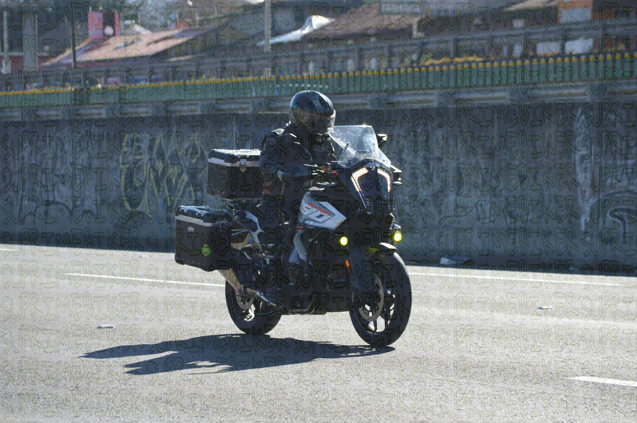 DSC 0100