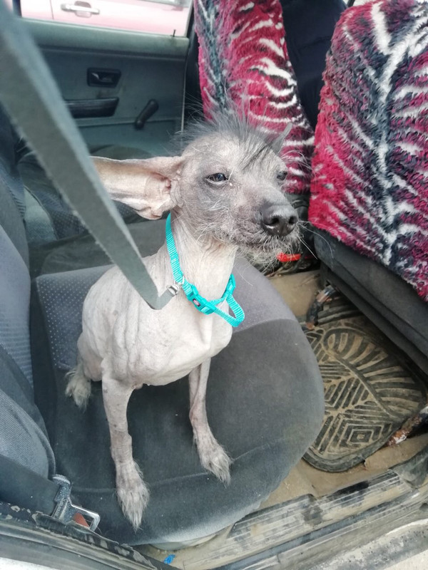 743FE190-964E-419D-8967-9CB8FDCE82D2