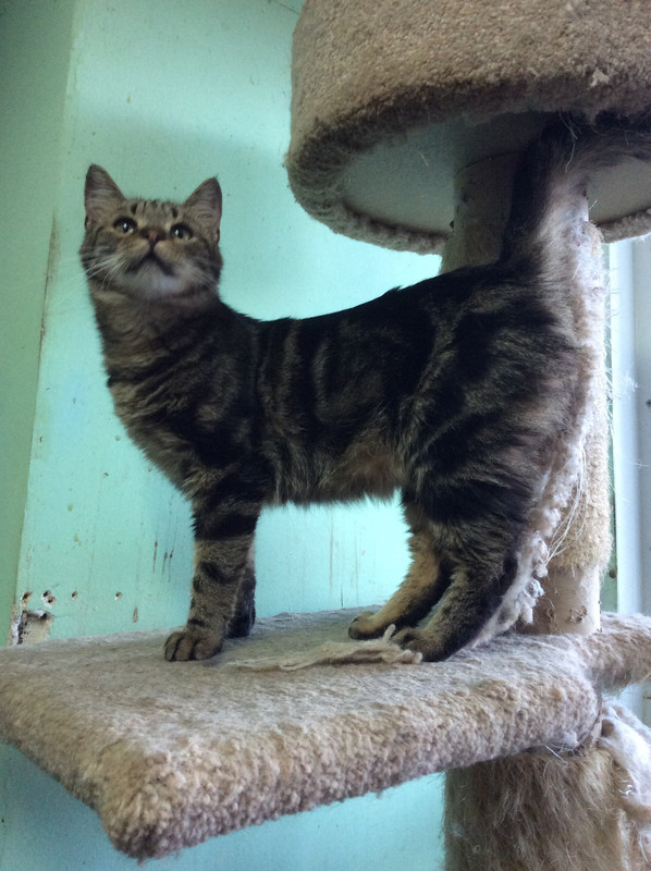 E107A70B-F233-4F82-9D89-F4F2D8A0D2DF