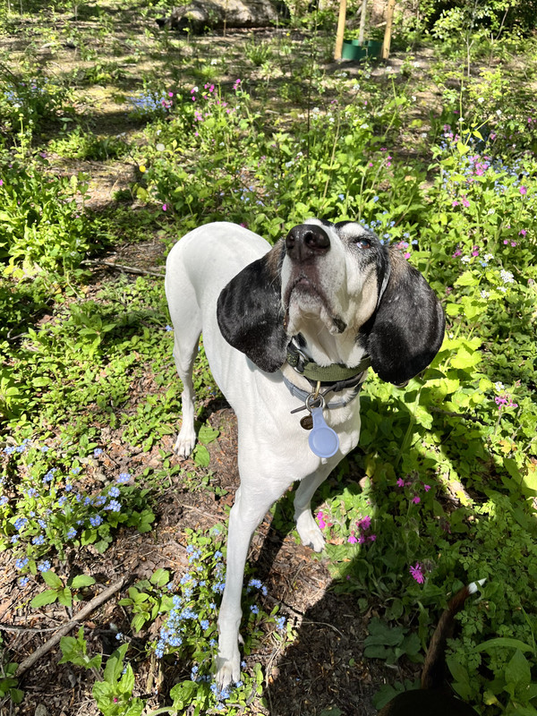 EF4860FA-9A47-45C9-908E-E94F2536C3DE