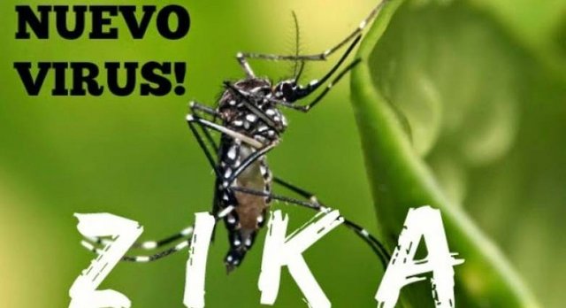 nuevo-virus-zika.jpg