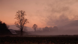Landscape Photography: Creating Visual Eloquence Landscape Photography: Creating Visual Eloquence