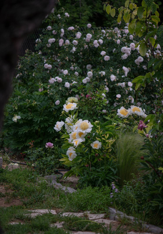 IMG-e57f767dbda877b9db601c1691cf3943-V