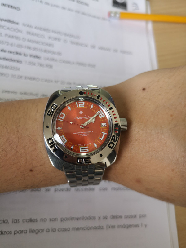 15638222687135096095305630528481