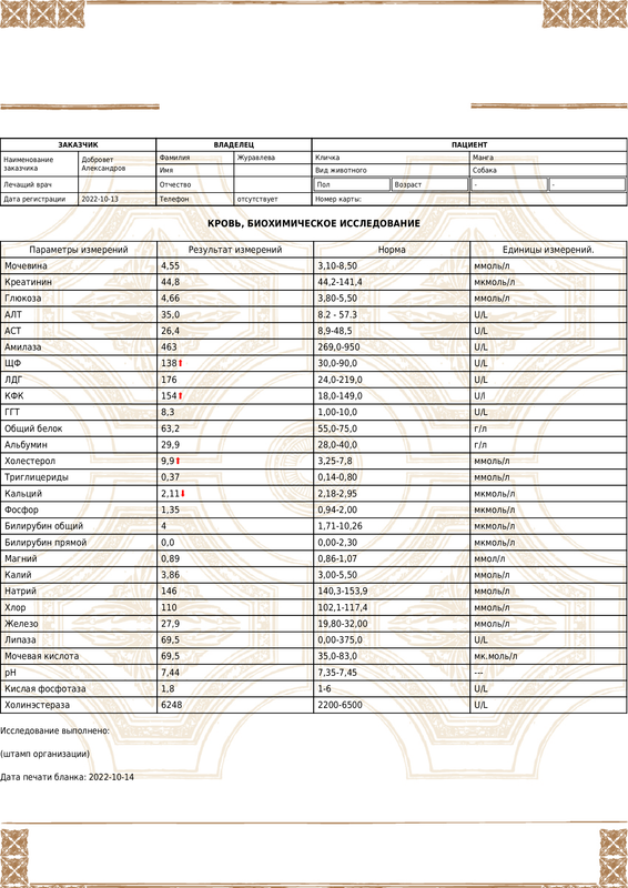 artvet_result (1)