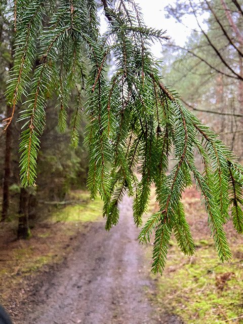 8-BB54077-C278-4-C27-8-FDC-7-DBDBE0619-F