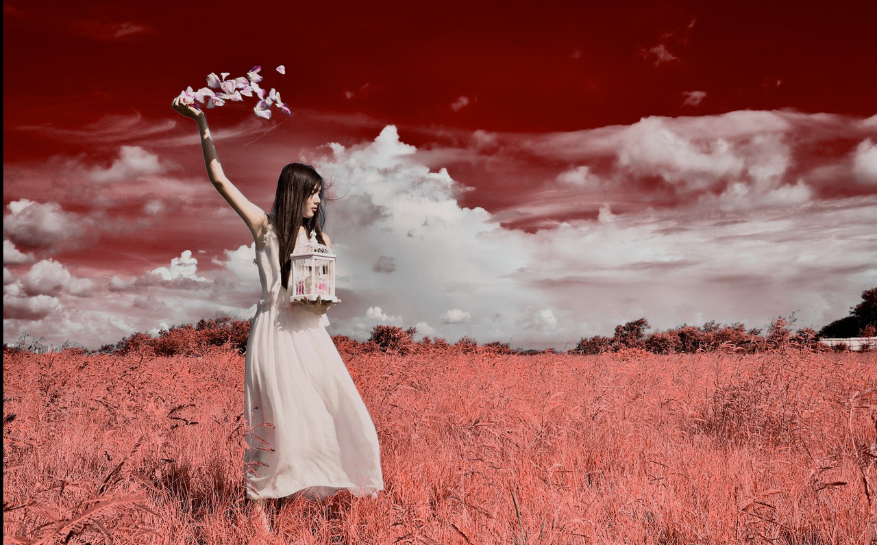 girl-in-field-red-1-7-4.jpg