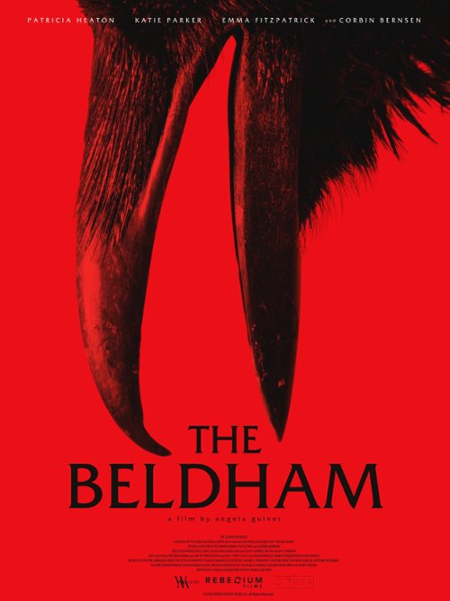 Wiedźma / The Beldham (2024) PL.720p.WEB-DL.XviD.AC3-R22 / Lektor PL