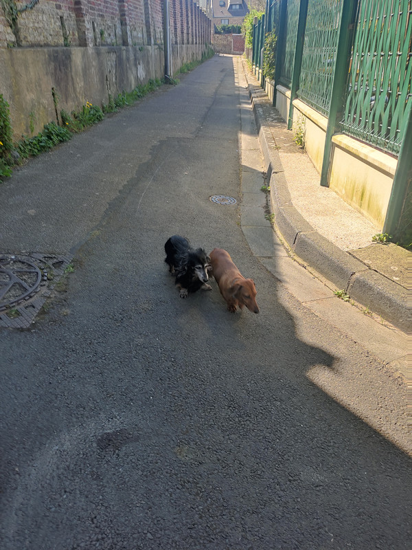 [Image: IMG-20250406-151902.jpg]