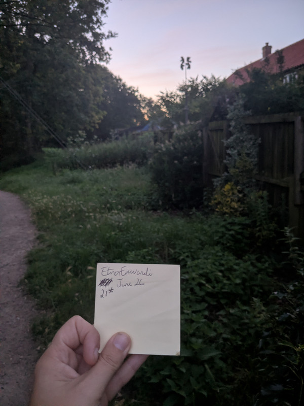 Overgrown-Yard
