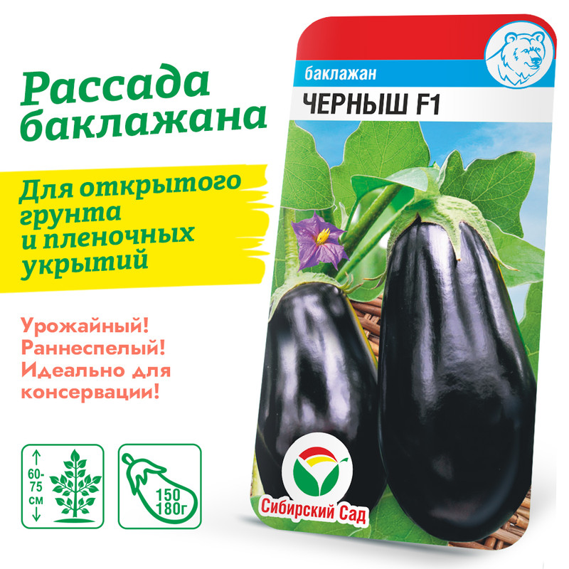 Баклажан Черныш