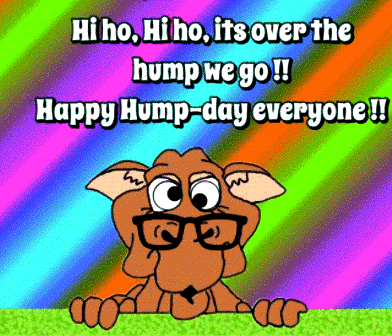 Happy-Hump-Day-Camel