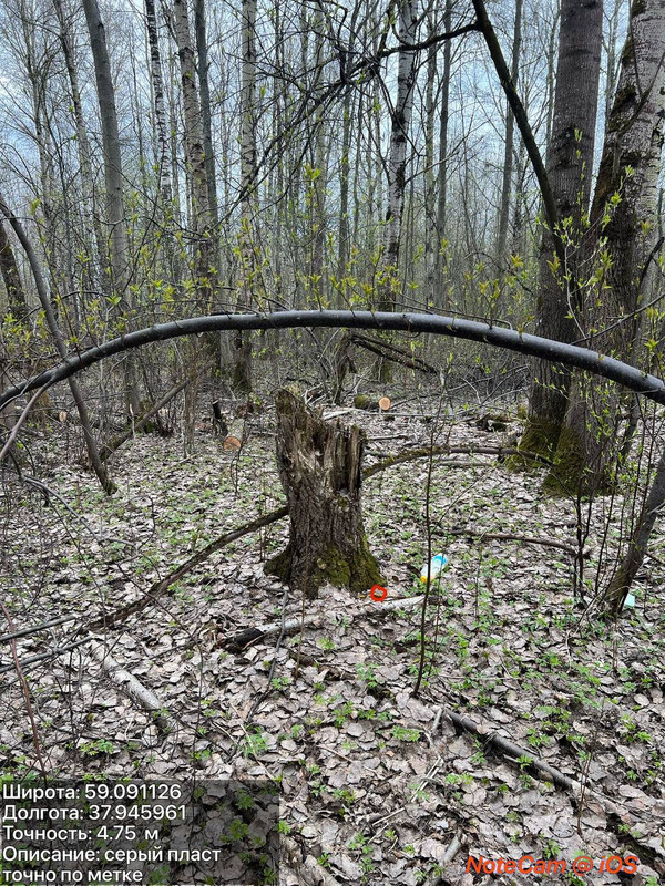 IMG 20260418 175722 569