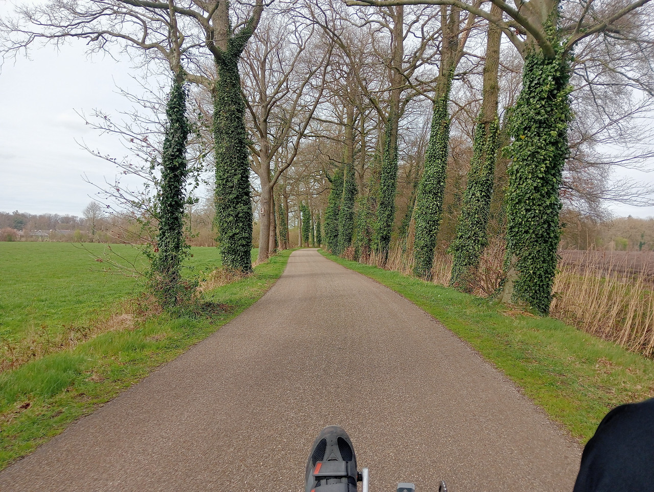 [Afbeelding: IMG20260403123941.jpg]