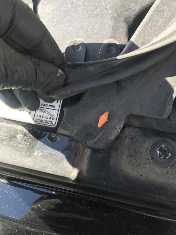 4DE3DC19-9EFC-4ECB-A0D9-A1D2752CD8BF