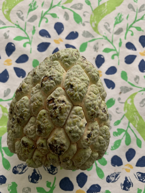 7FB21E7D-4F53-438C-97C2-6598E8A794A8