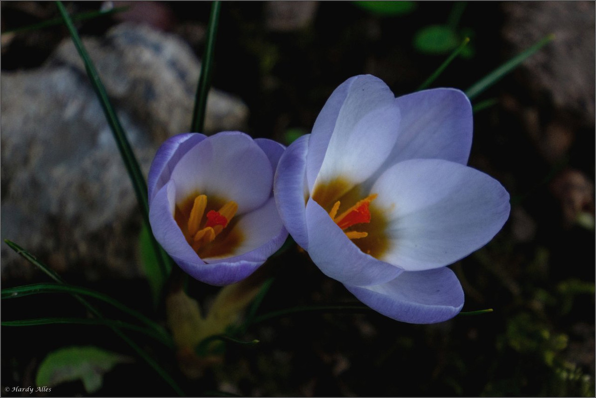 XT5A3711 2025 SB Molschd LR ERWZ FB - Kopie