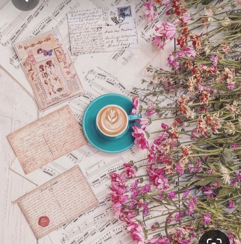 Screenshot_20230616_131453_Pinterest