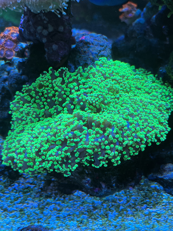 740F95BC-F4E7-417E-A9E6-4F730BB1862F