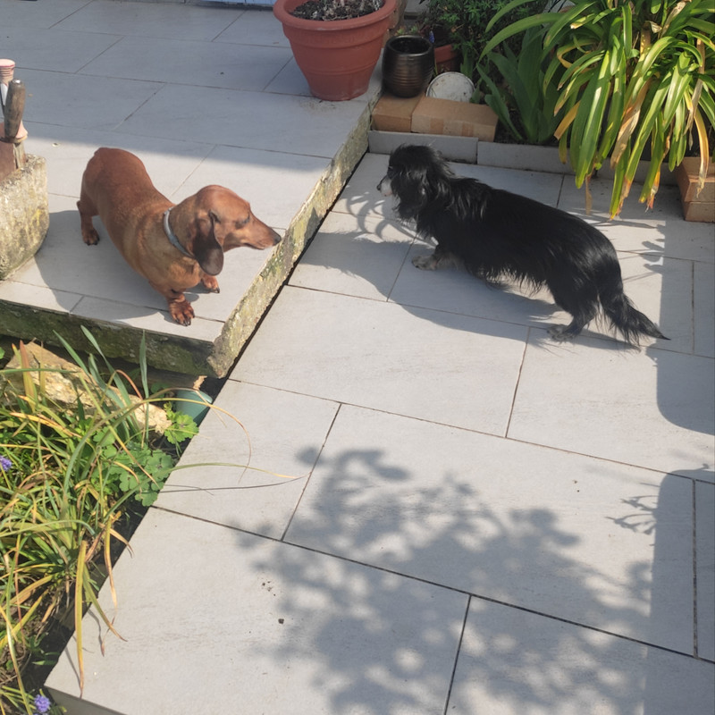 [Image: IMG-20250326-114206.jpg]