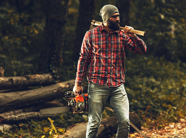 istockphoto-617762388-612x612.jpg