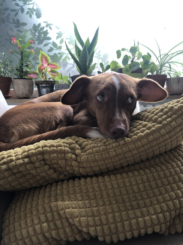 F01C8213-382A-40CA-81FC-D5A50071FEB8