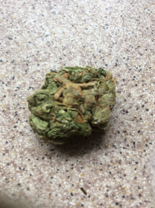 1CE2900F-85B9-4BC7-B04F-E9BB0C537582