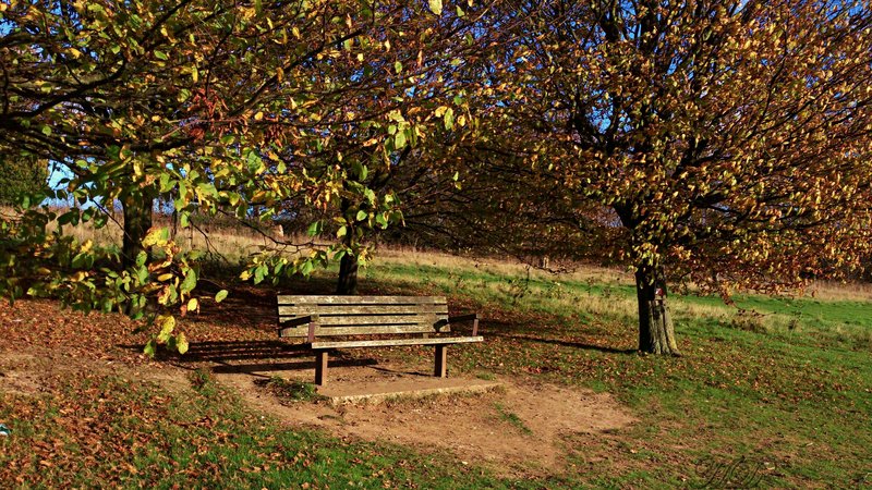 autumn-Bench-HD.jpg