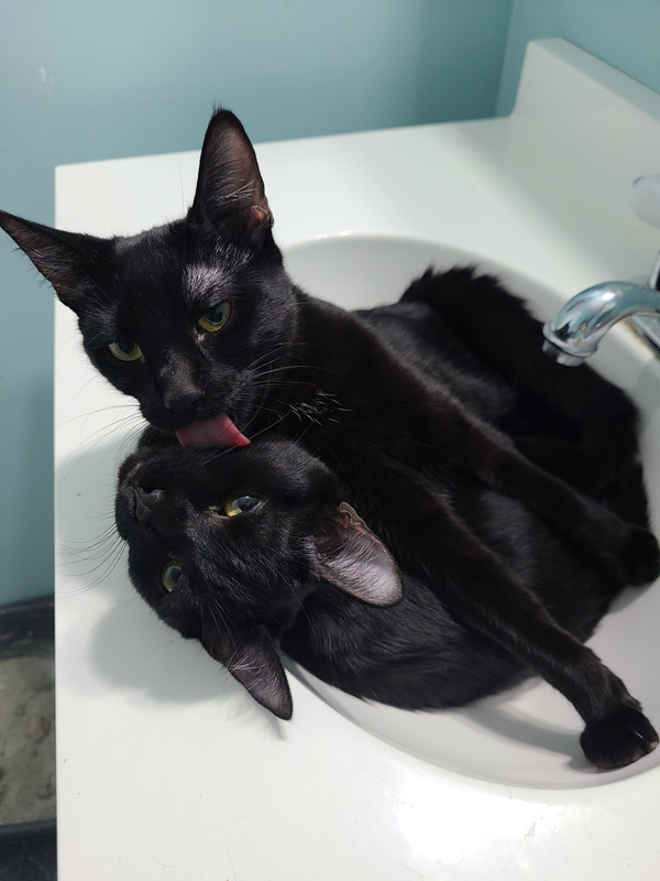 File Oct 24, 10 45 25 PM