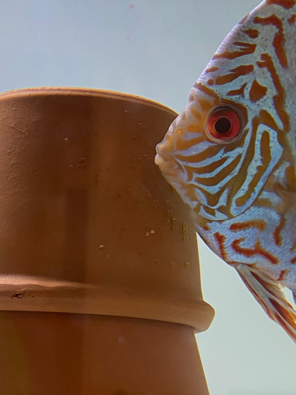 FD28A331-8595-49D2-B4DD-71234F17FE4A