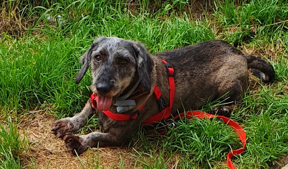 [Image: 20210620-123642.jpg]