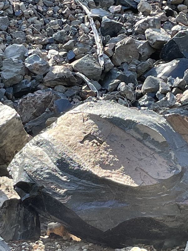 DC51F4DF-9D42-4544-A66D-234B982CC6E4