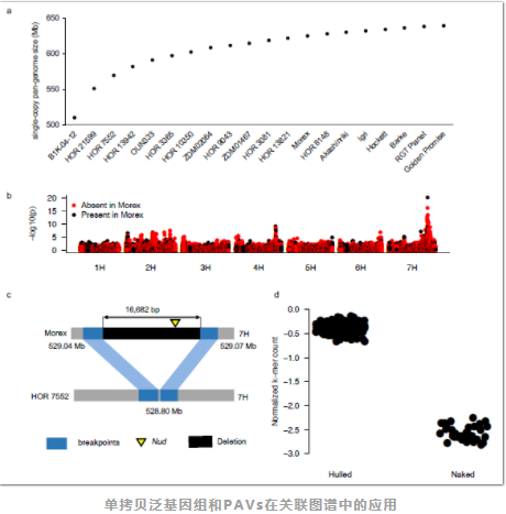 Nature:大麦泛基因组研究-3.png