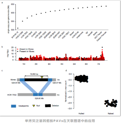 Nature：大麦泛基因组研究-3.png