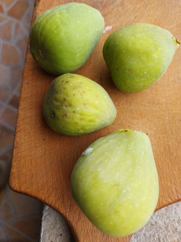 0-02-05-dfdf283c1960ca81f7351f863a31479ebfb26aa7578accc211dfaa6004b17cfe_9e03338c4a611b62